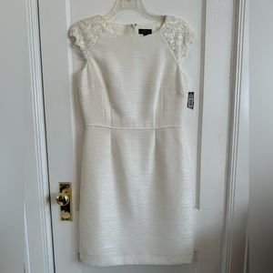 Tahari Dress NWT